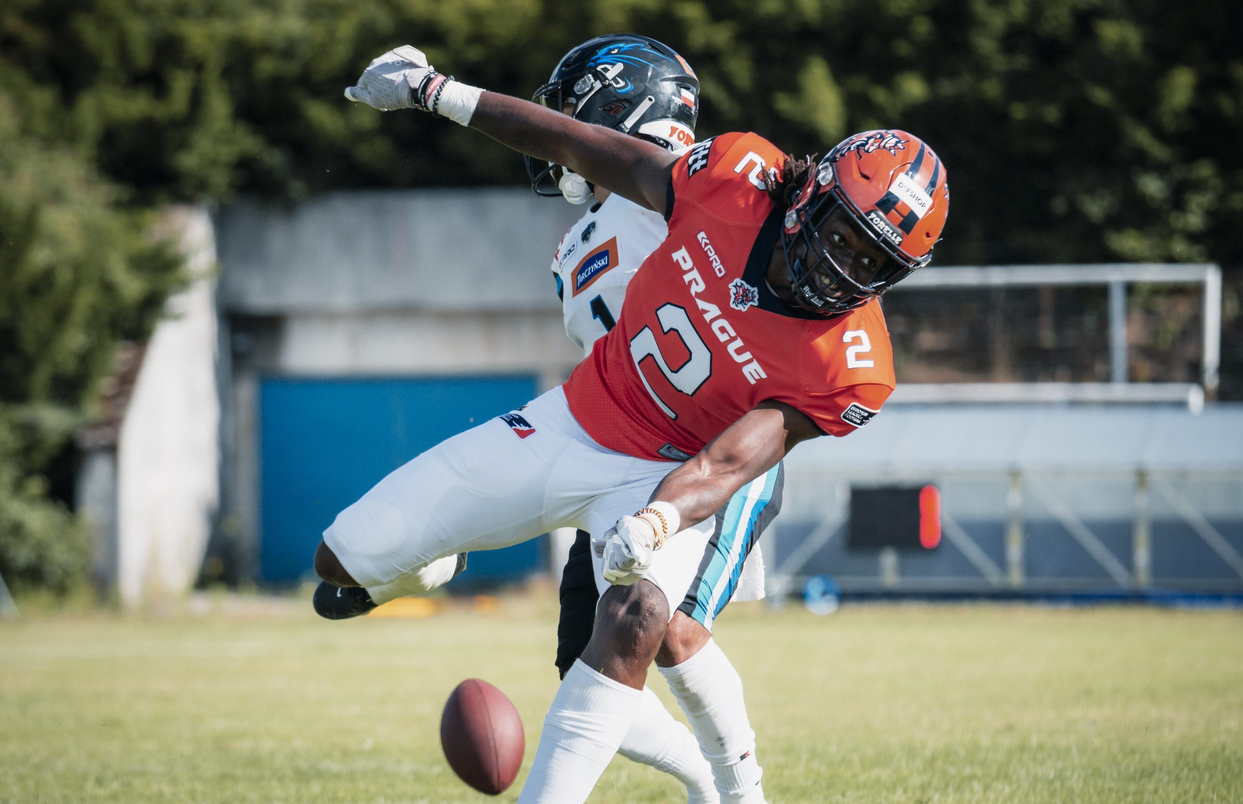 Prague Lions Foot Bowl