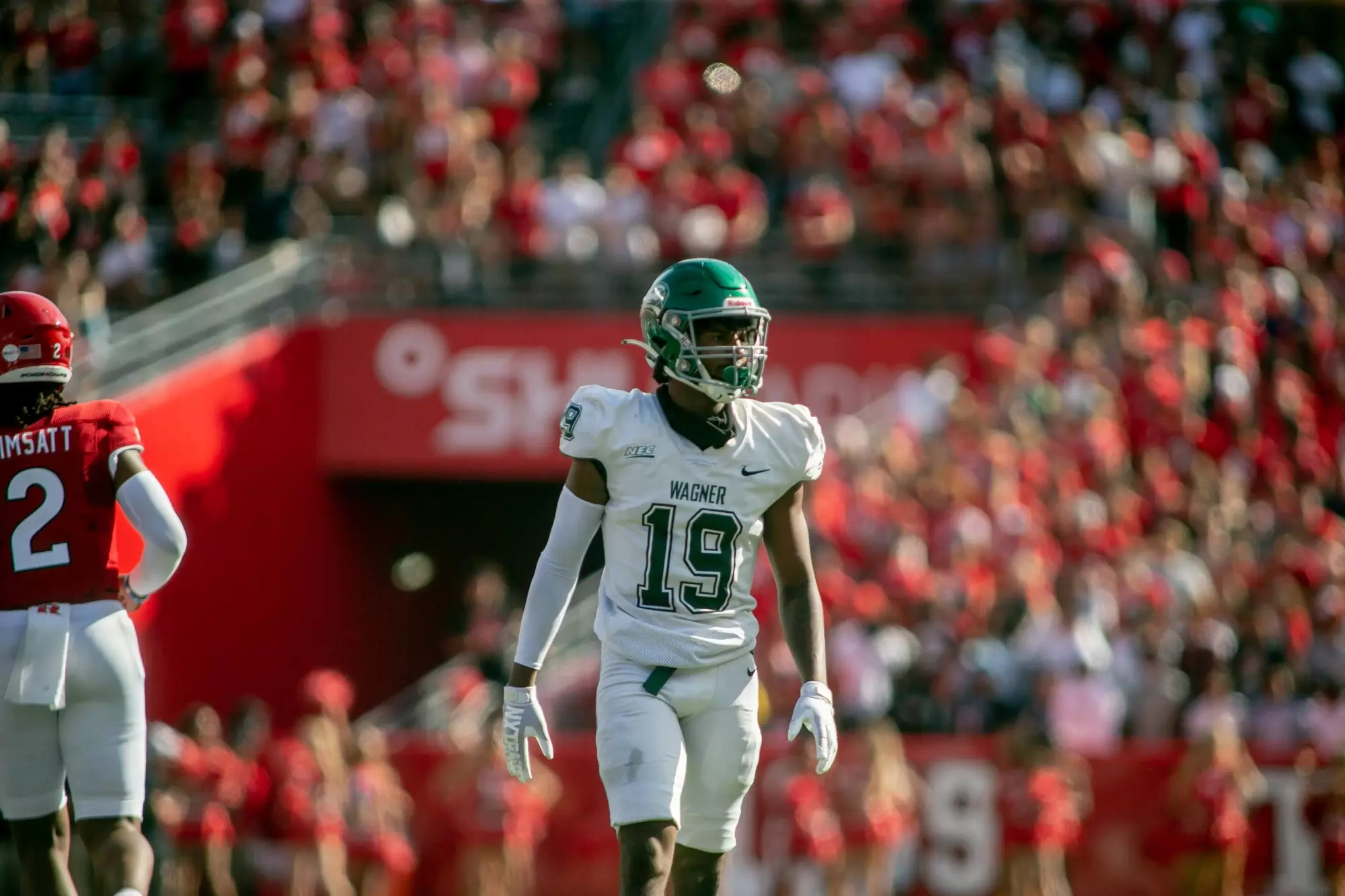 Neuzugang bei den Pforzheim Wilddogs